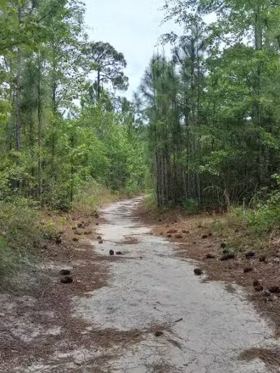 Park Preserve Trail - Wilmington, NC