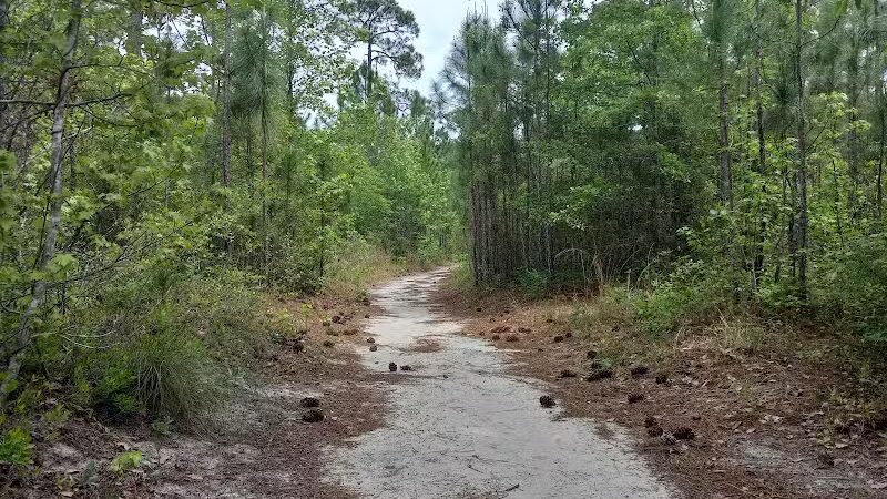 Park Preserve Trail - Wilmington, NC