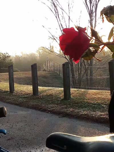 Park Preserve Trail - Wilmington, NC