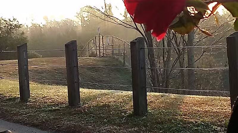 Park Preserve Trail - Wilmington, NC