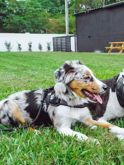 Ruff Draft - Wilmington, NC