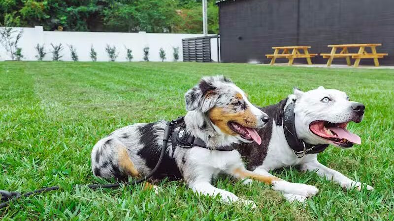 Ruff Draft - Wilmington, NC