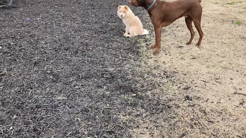 Ruff Draft - Wilmington, NC