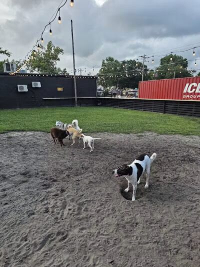 Ruff Draft - Wilmington, NC