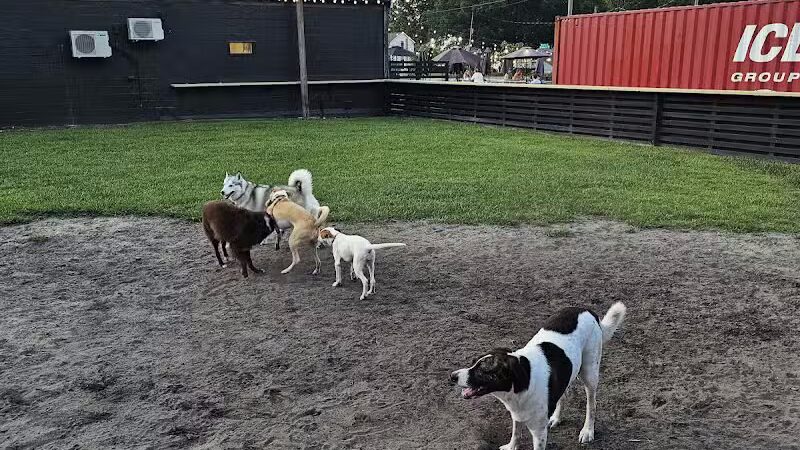 Ruff Draft - Wilmington, NC