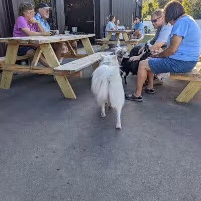 Ruff Draft - Wilmington, NC