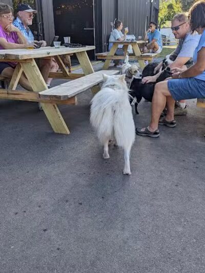 Ruff Draft - Wilmington, NC