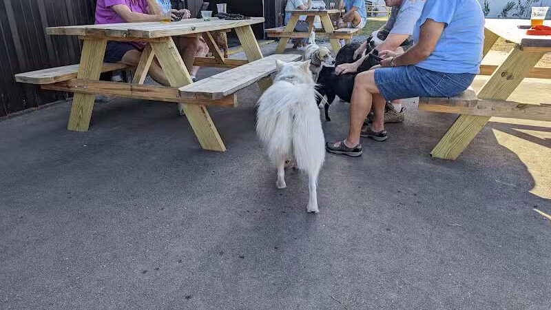 Ruff Draft - Wilmington, NC