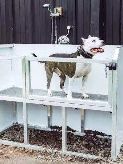 Ruff Draft - Wilmington, NC