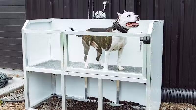 Ruff Draft - Wilmington, NC