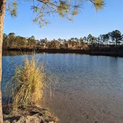 Smith Creek Park - Wilmington, NC