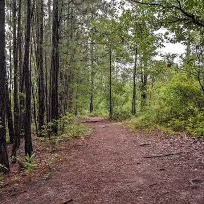 Smith Creek Park - Wilmington, NC