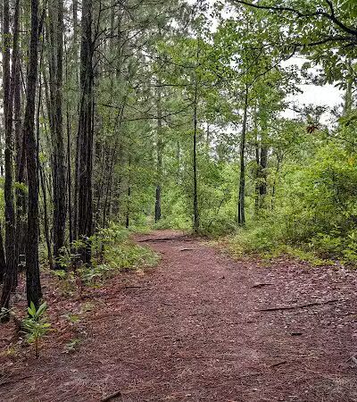 Smith Creek Park - Wilmington, NC