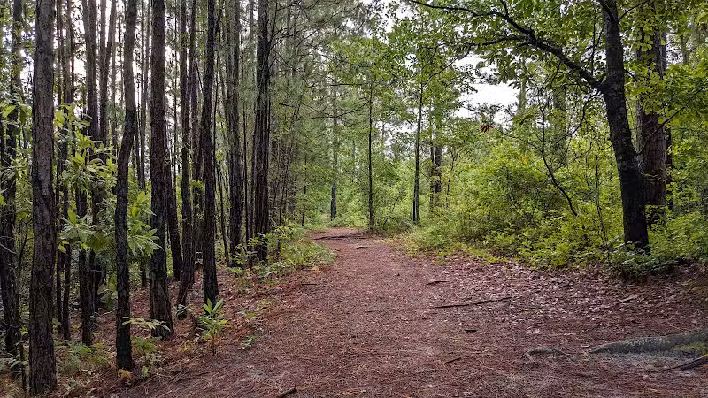 Smith Creek Park - Wilmington, NC