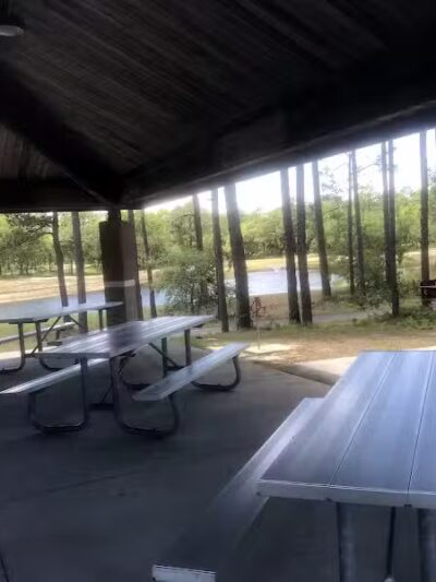 Veteran's Park - Nature Reserve and walking trails - Wilmington, NC