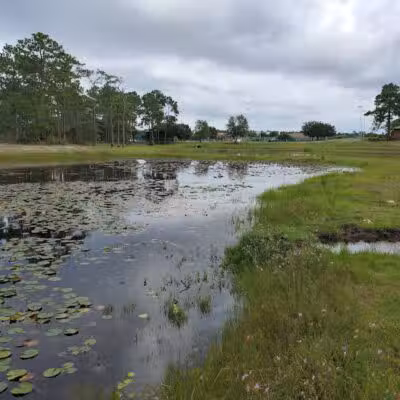 Veteran's Park - Nature Reserve and walking trails - Wilmington, NC