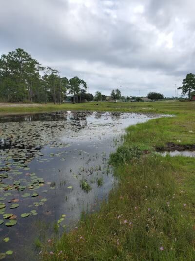 Veteran's Park - Nature Reserve and walking trails - Wilmington, NC