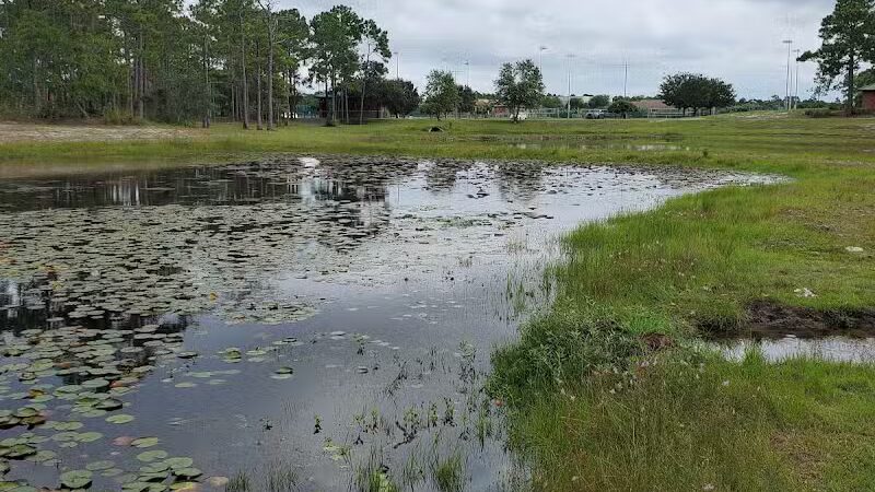 Veteran's Park - Nature Reserve and walking trails - Wilmington, NC