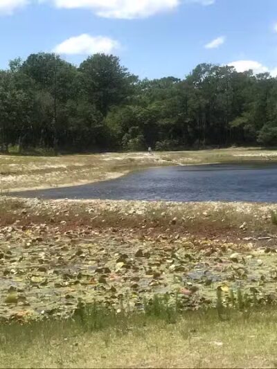 Veteran's Park - Nature Reserve and walking trails - Wilmington, NC
