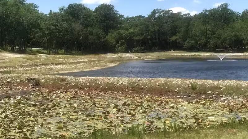 Veteran's Park - Nature Reserve and walking trails - Wilmington, NC