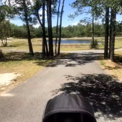 Veteran's Park - Nature Reserve and walking trails - Wilmington, NC