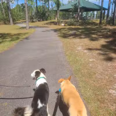 Veteran's Park - Nature Reserve and walking trails - Wilmington, NC