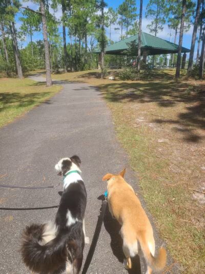 Veteran's Park - Nature Reserve and walking trails - Wilmington, NC