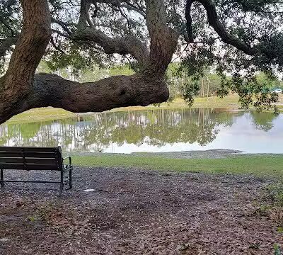 Veteran's Park - Nature Reserve and walking trails - Wilmington, NC