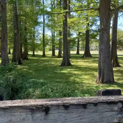 Wallace Park - Wilmington, NC