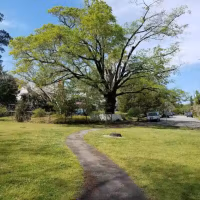 Wallace Park - Wilmington, NC