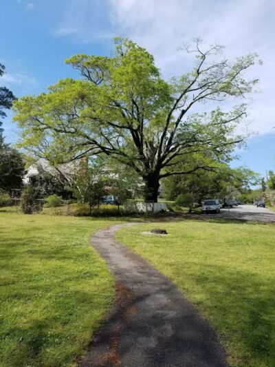 Wallace Park - Wilmington, NC