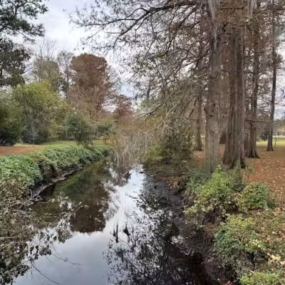 Wallace Park - Wilmington, NC