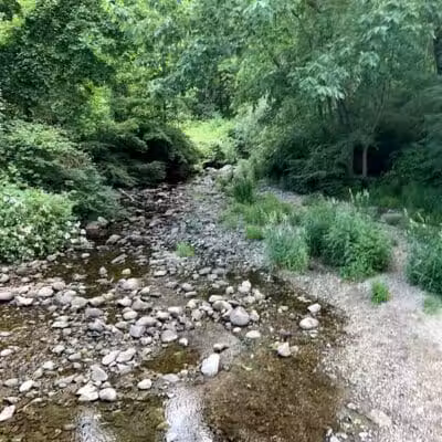 Merwin Meadows Park - Wilton, CT
