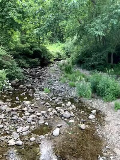 Merwin Meadows Park - Wilton, CT