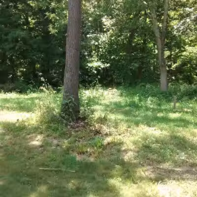 Merwin Meadows Park - Wilton, CT