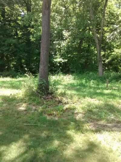 Merwin Meadows Park - Wilton, CT