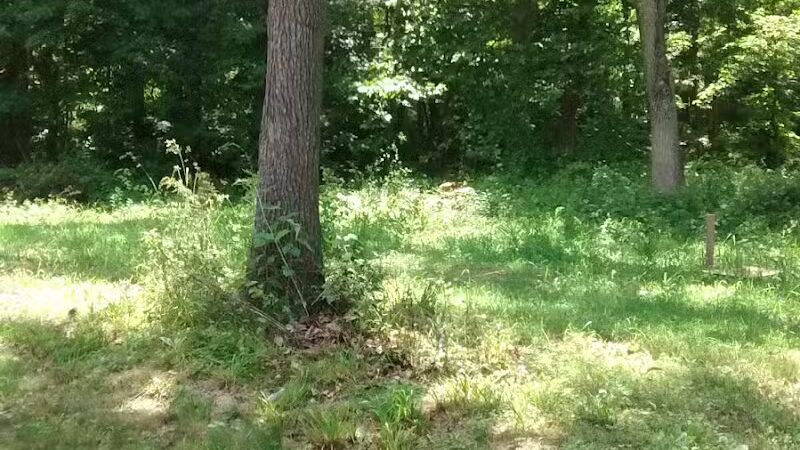 Merwin Meadows Park - Wilton, CT