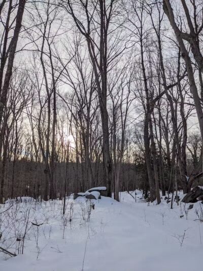 Norwalk River Valley Trail - North Parking - Wilton, CT