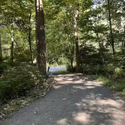 Norwalk River Valley Trail (NRVT) - Wilton, CT