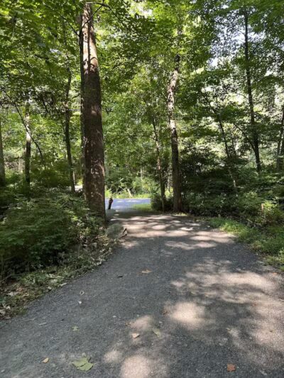 Norwalk River Valley Trail (NRVT) - Wilton, CT