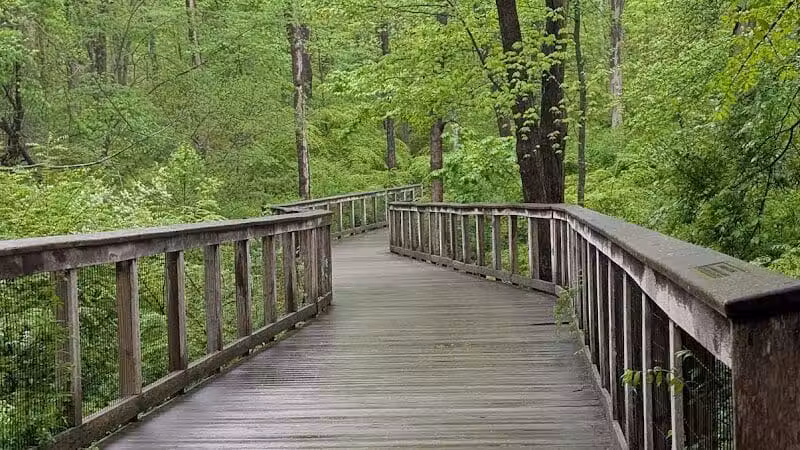 Norwalk River Valley Trail (NRVT) - Wilton, CT