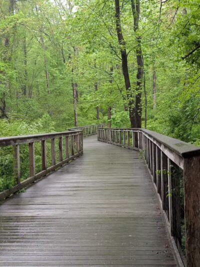 Norwalk River Valley Trail (NRVT) - Wilton, CT