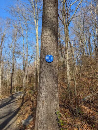 Norwalk River Valley Trail (NRVT) - Wilton, CT