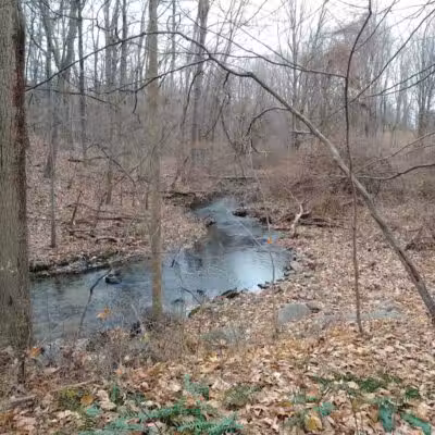 Norwalk River Valley Trail (NRVT) - Wilton, CT
