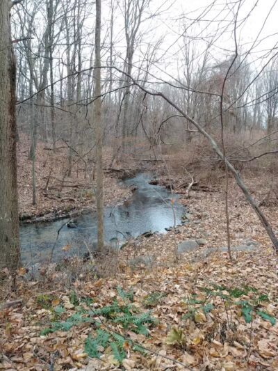 Norwalk River Valley Trail (NRVT) - Wilton, CT