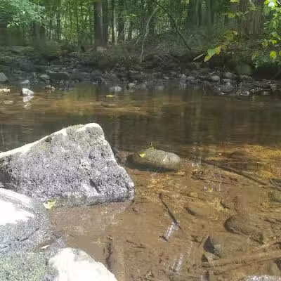 Norwalk River Valley Trail (NRVT) - Wilton, CT