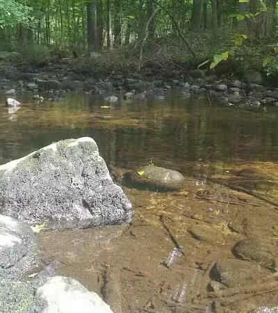 Norwalk River Valley Trail (NRVT) - Wilton, CT