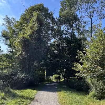 Norwalk River Valley Trail (NRVT) - Wilton, CT
