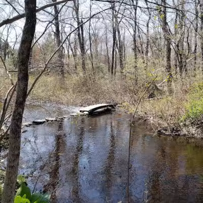 Stonebridge Waterfowl Preserve - Wilton, CT