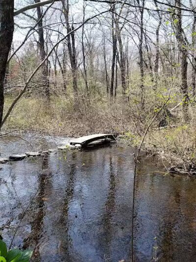 Stonebridge Waterfowl Preserve - Wilton, CT